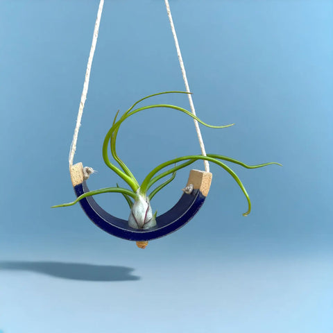 Small Hanging Air Plant Cradle Navy Blue