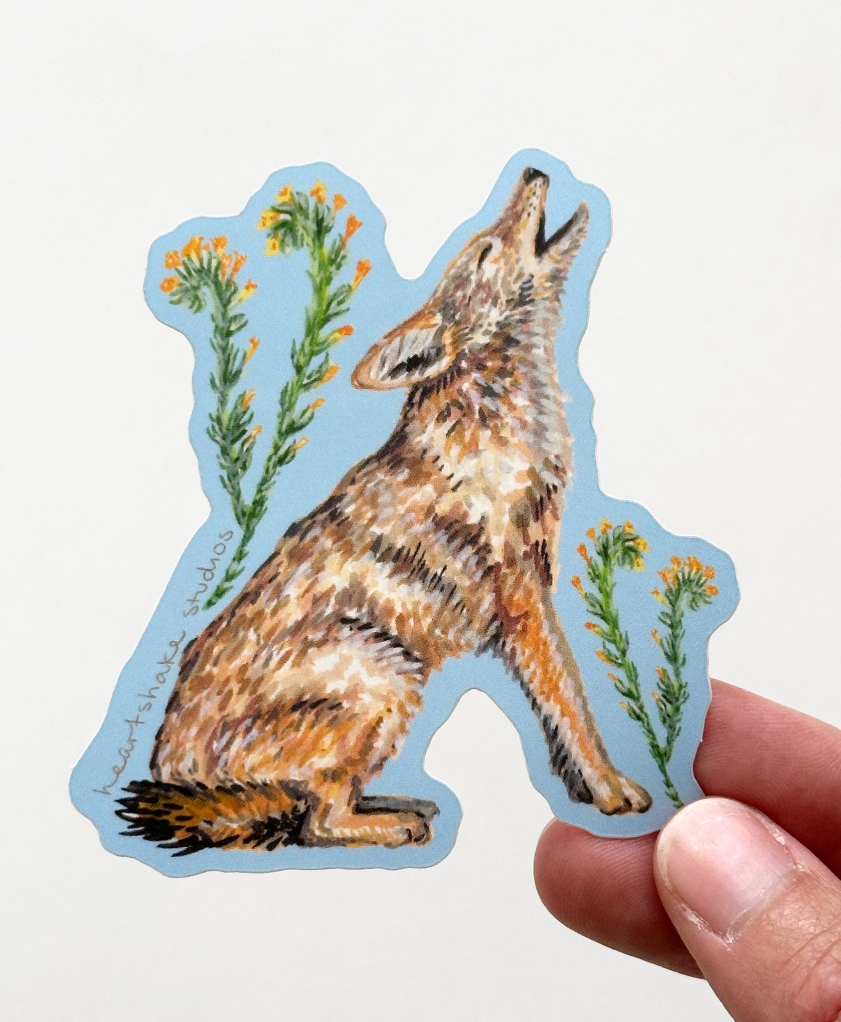 Coyote Sticker by Heartshake Studios