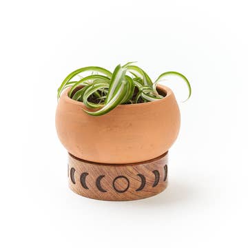 Terracotta Planter with Moon Phase Stand