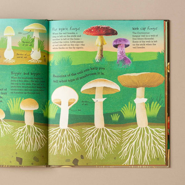 Humongous Fungus by: Lynne Boddy and illustrated by: Wenjia Tang