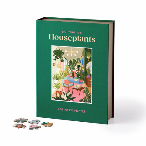 Lighting 101: Houseplants Puzzle