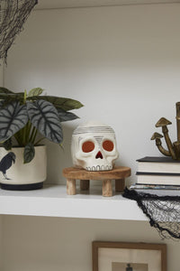 Ceramic Skull Decoration