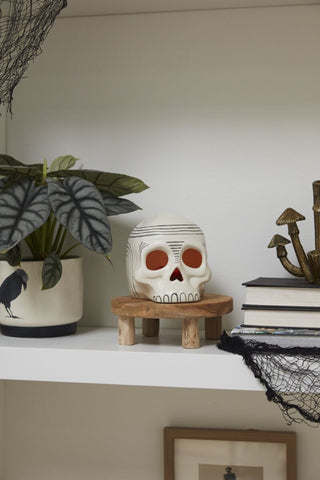 Ceramic Skull Decoration