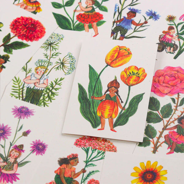Flower Fairies Postcard Set of 12