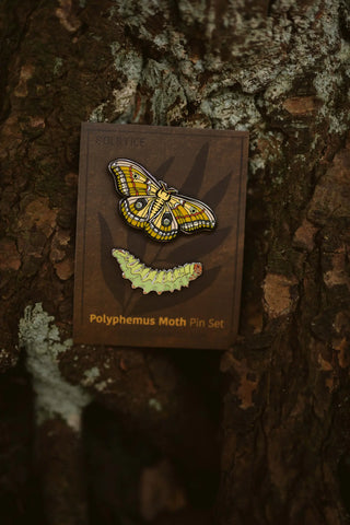 Polyphemus Moth Pin Set