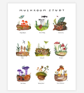 Mushroom Study Art Print