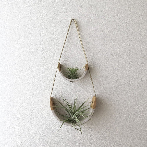 Small Speckle Buff Hanging Air Plant Cradle Dipped in Gloss White Glaze