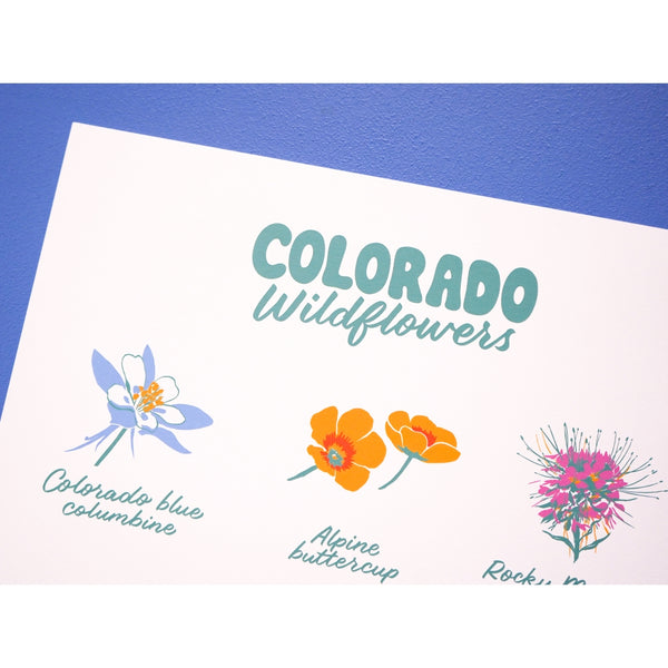 Colorado Wildflower Print