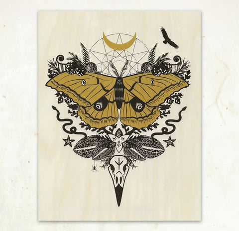 Silk Moth Wood Print