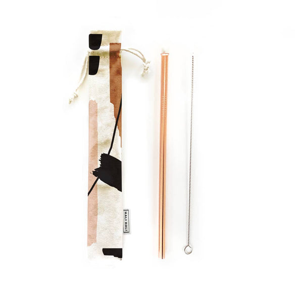 Reusable Straw Set with Pouch and Brush