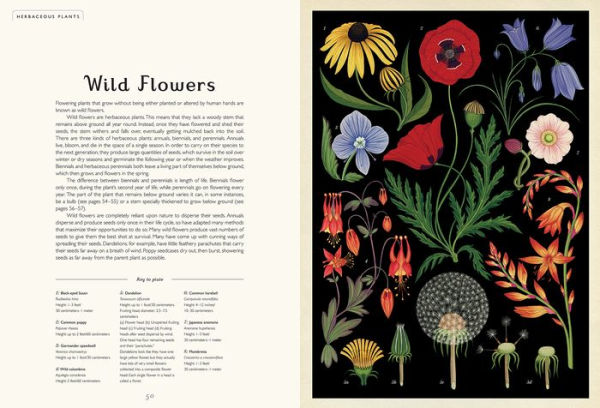 Botanicum by Kathy Willis and Katie Scott