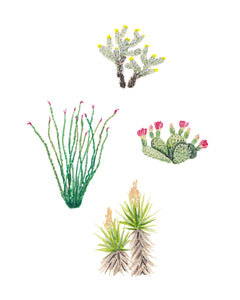 Cacti 3 Art Print