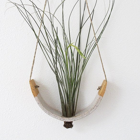 Large Hanging Ceramic Air Plant Cradle Gloss White Speckled Buff