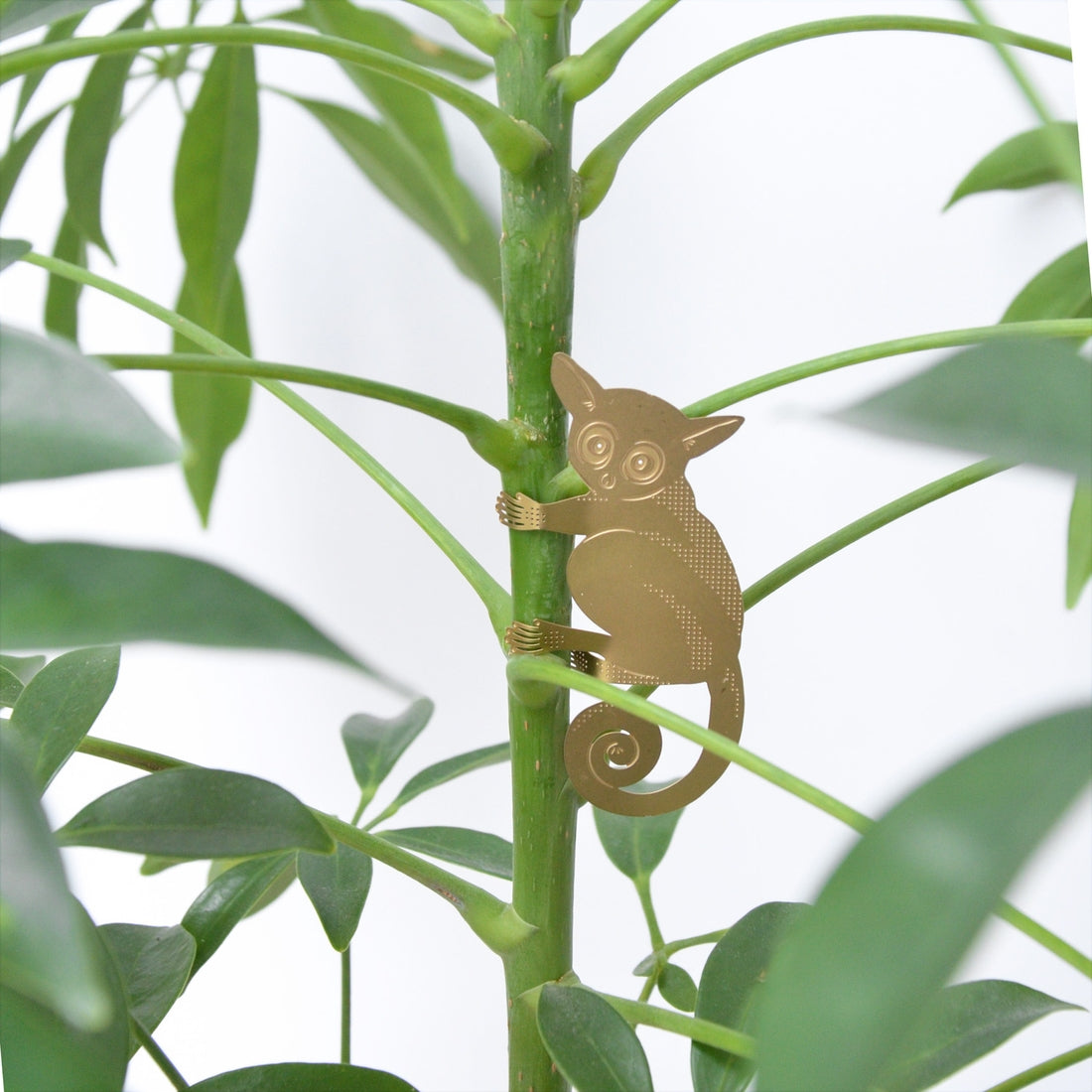 Brass Plant Animals