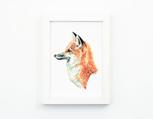 Fox 2 Art Print
