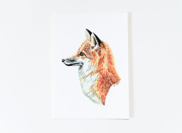 Fox 2 Art Print