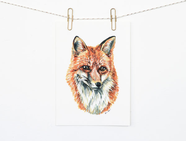 Fox 3 Art Print