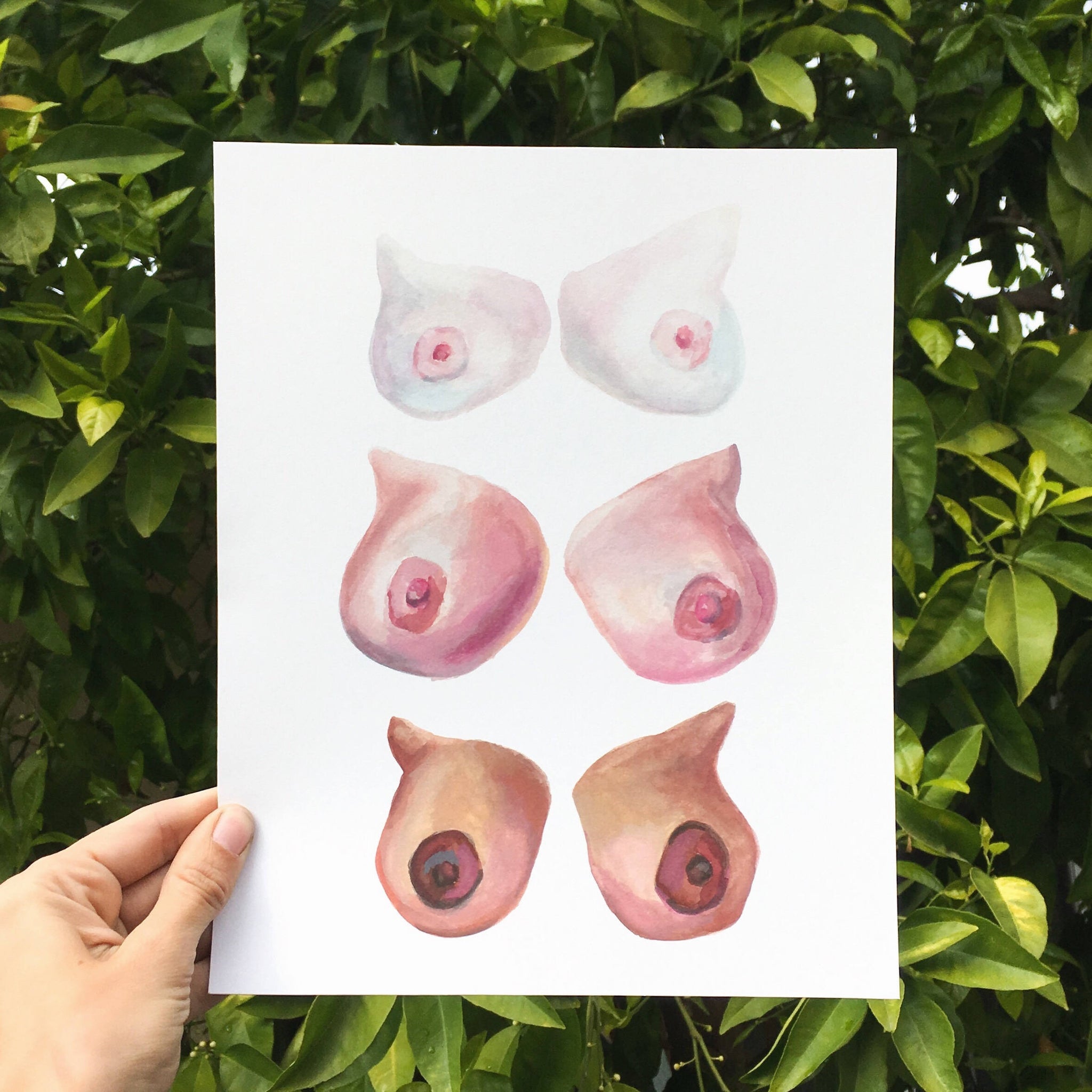 Boobs Giclee Art Print