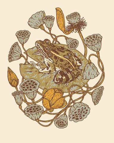 Frog, Lotus Pods, and Lotus Flowers Print by: Mustard Beetle