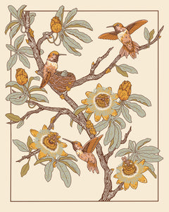 Hummingbirds and Passionflowers Print by: Mustard Beetle