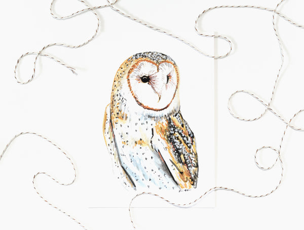 Barn Owl Art Print
